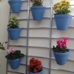 Muito amor por este jardim vertical colorido! - Na casa do cliente