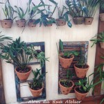 Um maravilhoso jardim vertical, feito com janelas de madeira de demolição