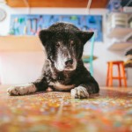 Mais fotos lindas, e tampos de mesa em mosaico