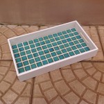 Iniciando as comemorações de final de ano