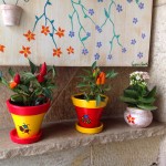 Inspirações para o seu jardim - Vasos customizados