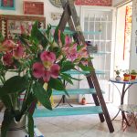 Uma estante linda, feita com escada antiga | DIY