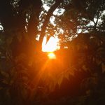 Um tour super especial por minhas artes! | Vídeo